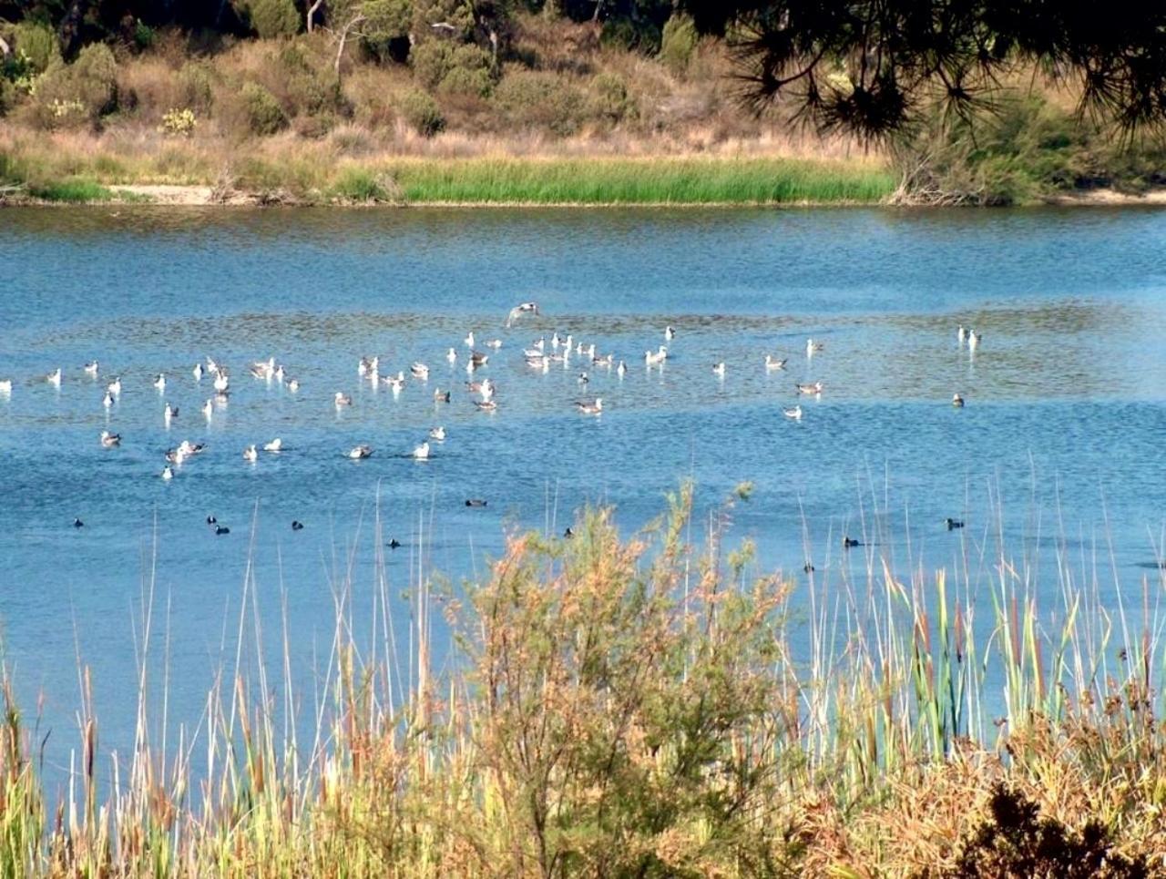 Paqo Lodge Laguna Del Portil, A 400 Metros De La Playa Esterno foto